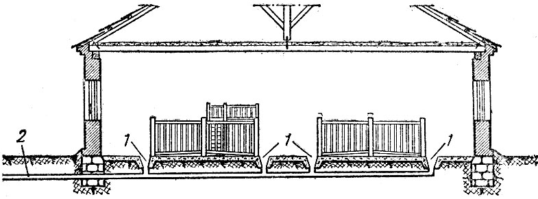 Рис. 41. Схема канализации в свинарнике: 1 - открытый канализационный лоток; 2 - подземная отводная труба