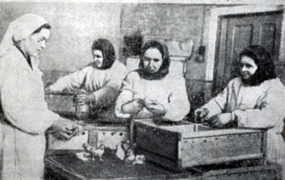 Птичницы колхоза имени Сталина получают утят на инкубаторной станции